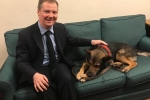 Neil O'Brien MP - pet theft