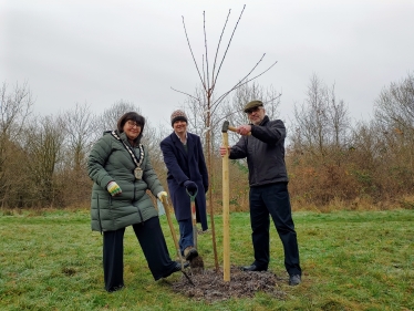 Oadby Brockshill tree planting